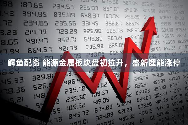 鳄鱼配资 能源金属板块盘初拉升，盛新锂能涨停