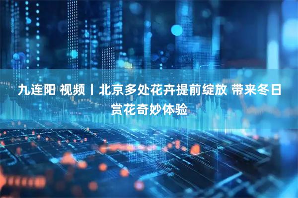 九连阳 视频丨北京多处花卉提前绽放 带来冬日赏花奇妙体验