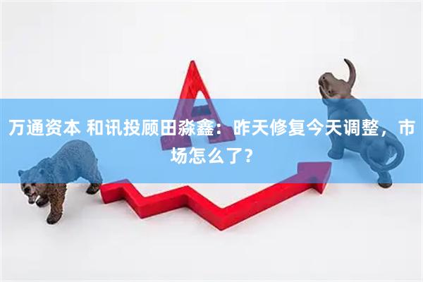 万通资本 和讯投顾田淼鑫：昨天修复今天调整，市场怎么了？