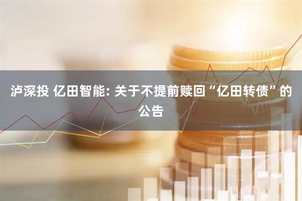泸深投 亿田智能: 关于不提前赎回“亿田转债”的公告