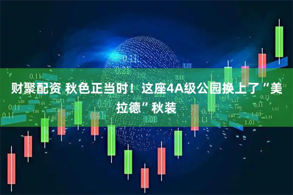 财聚配资 秋色正当时！这座4A级公园换上了“美拉德”秋装