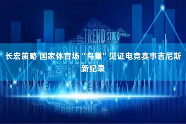 长宏策略 国家体育场“鸟巢”见证电竞赛事吉尼斯新纪录