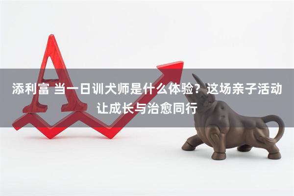 添利富 当一日训犬师是什么体验？这场亲子活动让成长与治愈同行